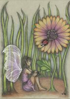 Guardian of the Osteospermum